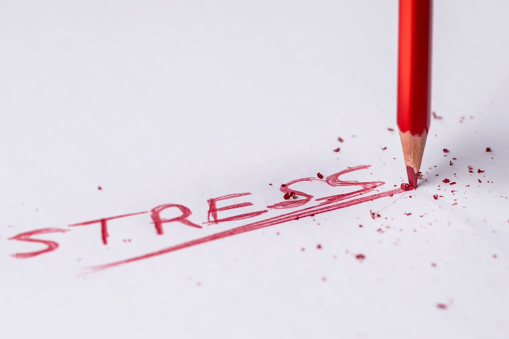 Poniedziałek - czas na autostress i destress